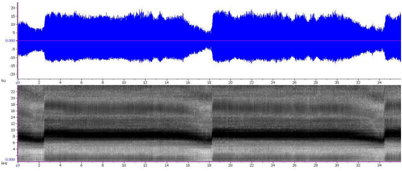 Sonogramme