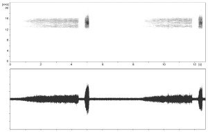 Figure5