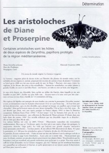Hentz2008 Les aristoloches de Diane et Proserpine