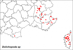 Dolichopoda