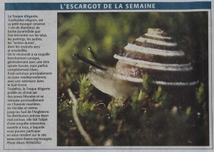 in Midi Libre juillet 2010