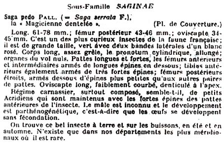 Anonyme2