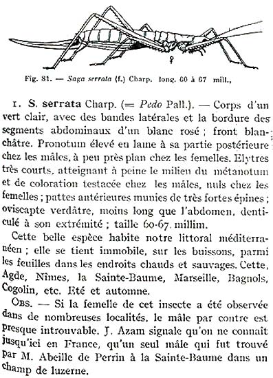Anonyme1