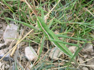 Dscn3063