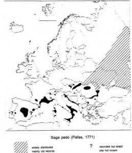 Europe