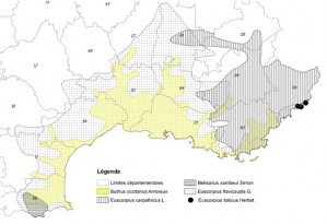 Rpartition des Scorpions de France