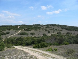 Habitat