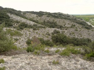 Habitat