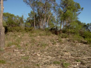 Habitat