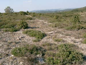 Habitat