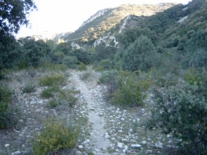 Habitat