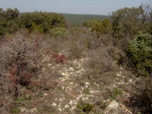 Habitat