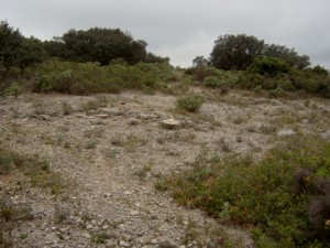 Habitat