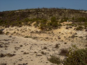 Habitat