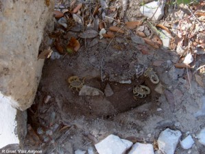 logement complet.jpg